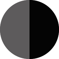 Noir intense/gris poudre métallisé